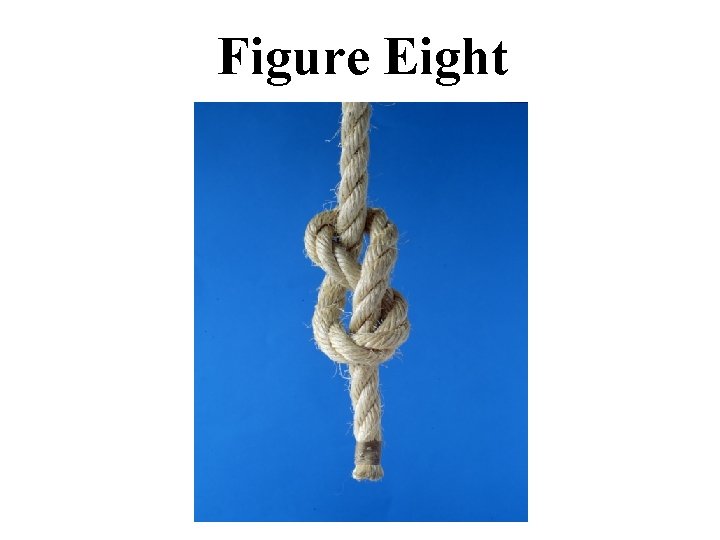 Figure Eight 