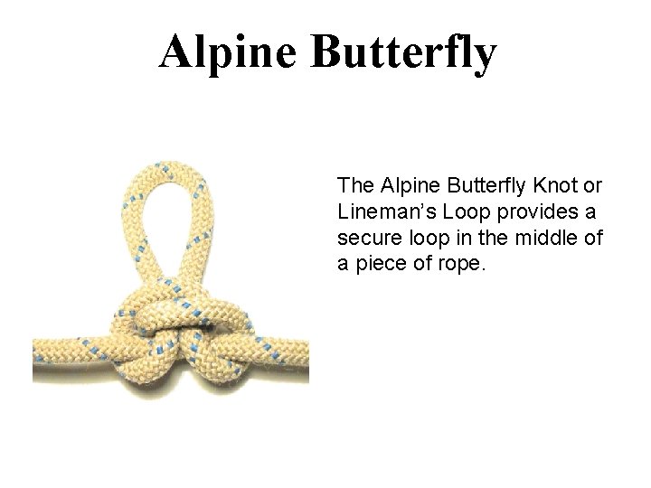 Alpine Butterfly The Alpine Butterfly Knot or Lineman’s Loop provides a secure loop in