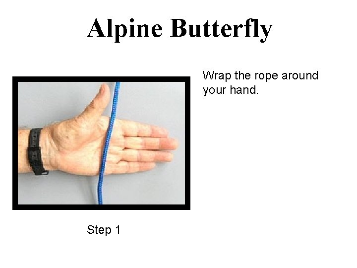 Alpine Butterfly Wrap the rope around your hand. Step 1 