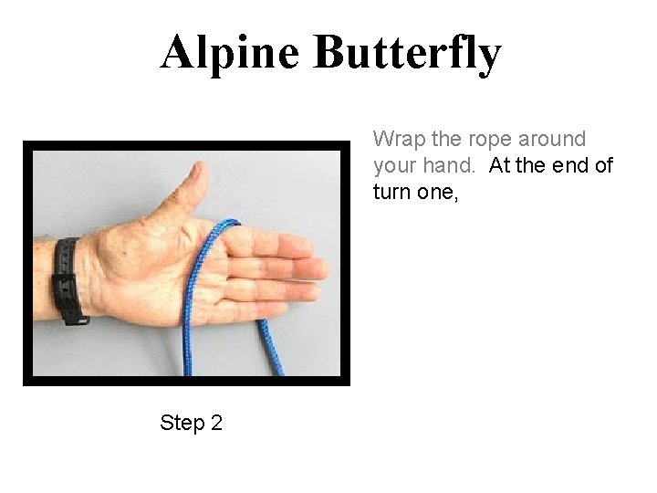 Alpine Butterfly Wrap the rope around your hand. At the end of turn one,
