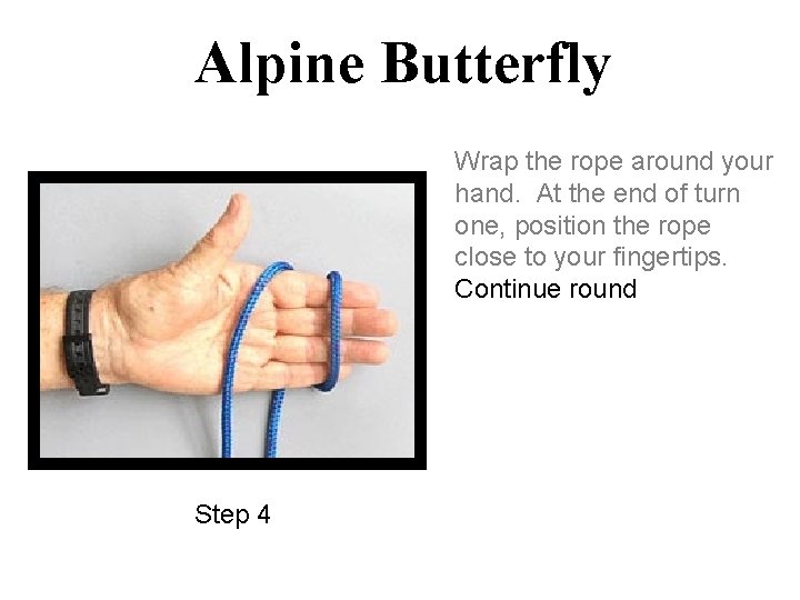 Alpine Butterfly Wrap the rope around your hand. At the end of turn one,