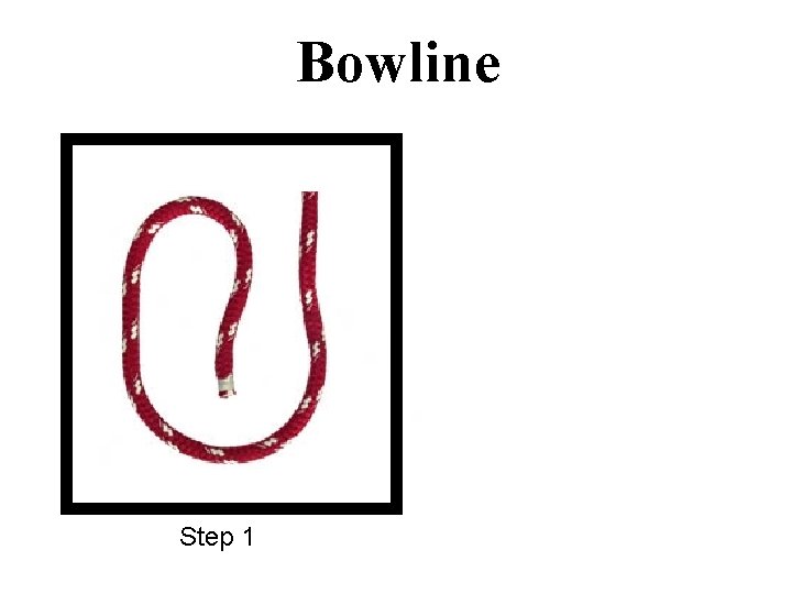 Bowline Step 1 