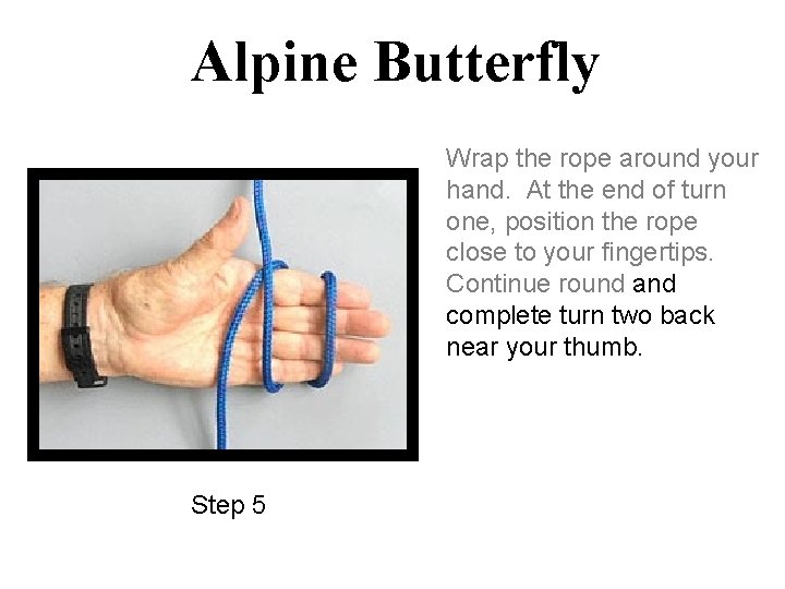 Alpine Butterfly Wrap the rope around your hand. At the end of turn one,