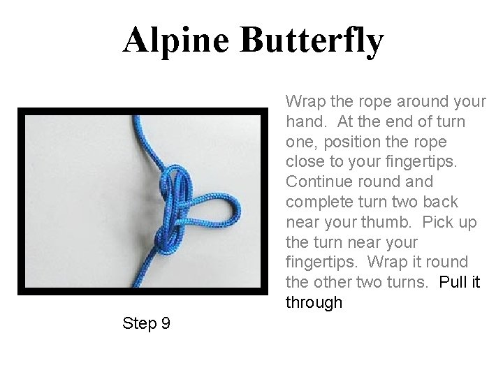 Alpine Butterfly Wrap the rope around your hand. At the end of turn one,