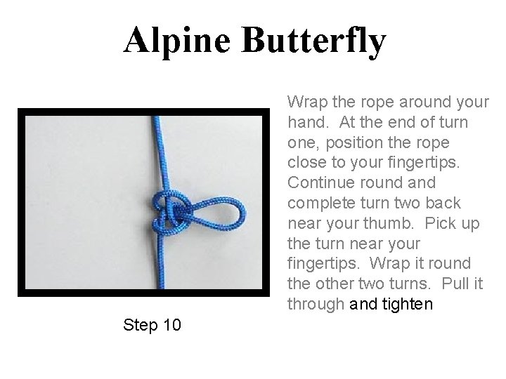 Alpine Butterfly Wrap the rope around your hand. At the end of turn one,