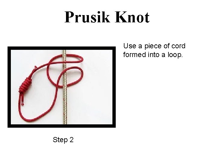 Prusik Knot Use a piece of cord formed into a loop. Step 2 