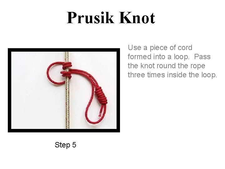 Prusik Knot Use a piece of cord formed into a loop. Pass the knot