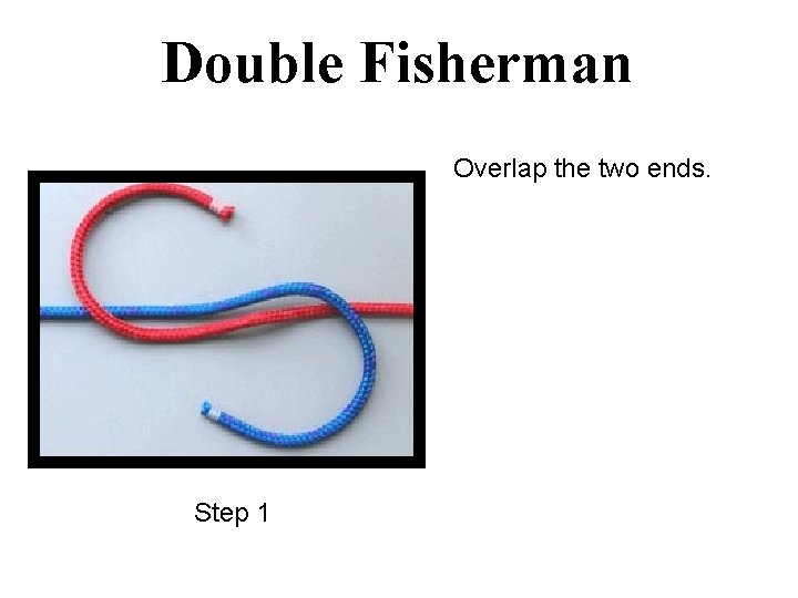 Double Fisherman Overlap the two ends. Step 1 