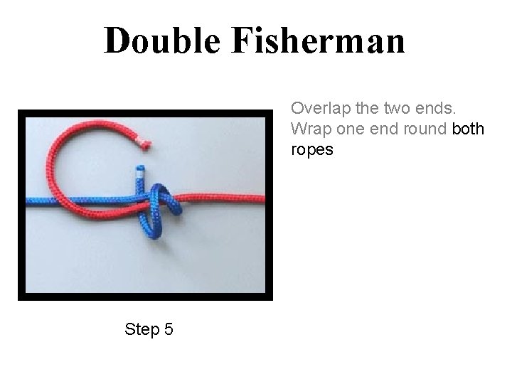 Double Fisherman Overlap the two ends. Wrap one end round both ropes Step 5