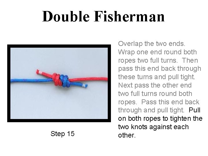 Double Fisherman Step 15 Overlap the two ends. Wrap one end round both ropes