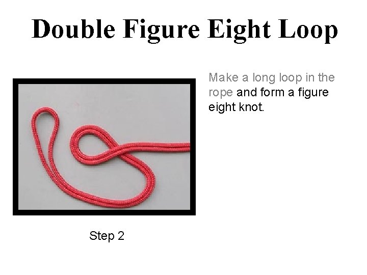 Double Figure Eight Loop Make a long loop in the rope and form a