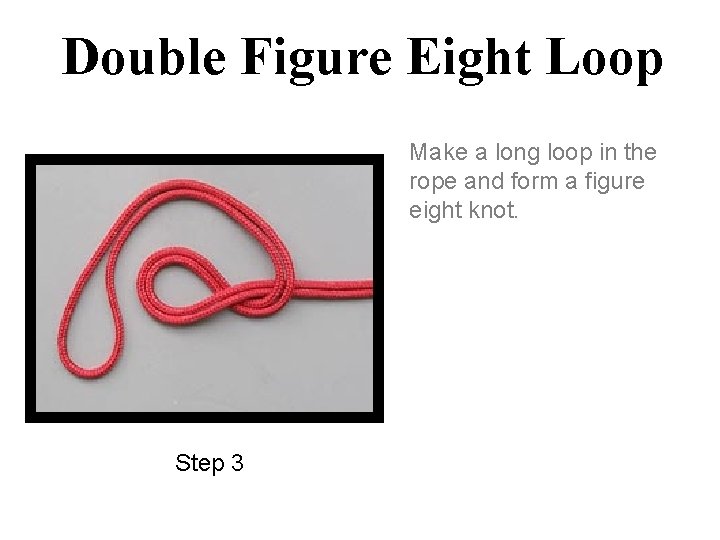 Double Figure Eight Loop Make a long loop in the rope and form a