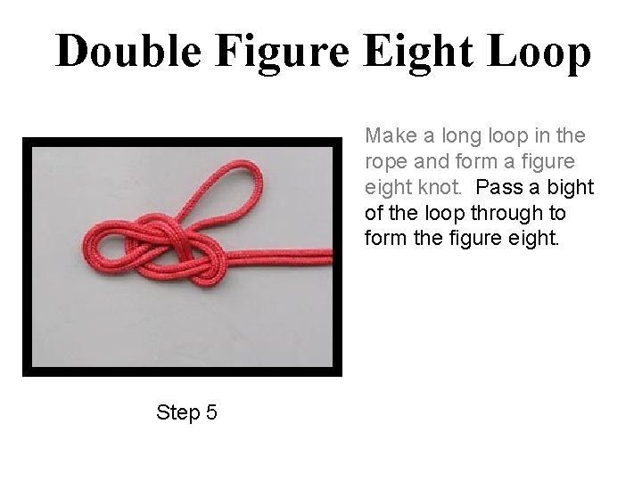 Double Figure Eight Loop Make a long loop in the rope and form a