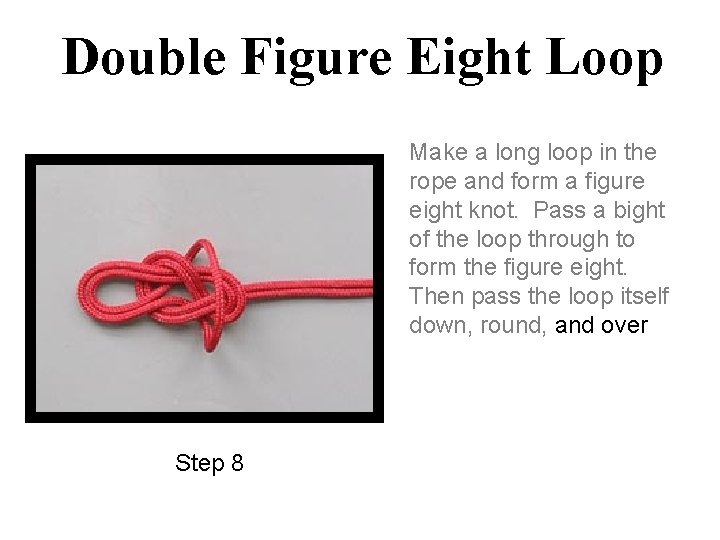 Double Figure Eight Loop Make a long loop in the rope and form a