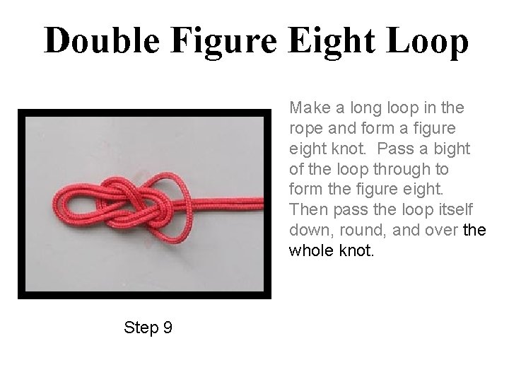 Double Figure Eight Loop Make a long loop in the rope and form a