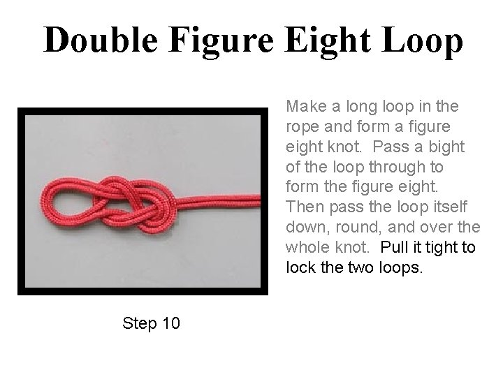 Double Figure Eight Loop Make a long loop in the rope and form a