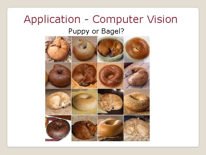 Application - Computer Vision Puppy or Bagel? 