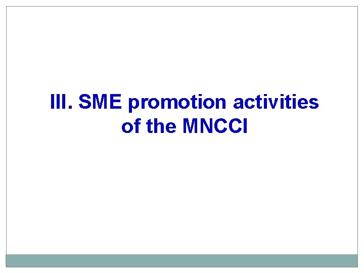 III. SME promotion activities of the MNCCI 