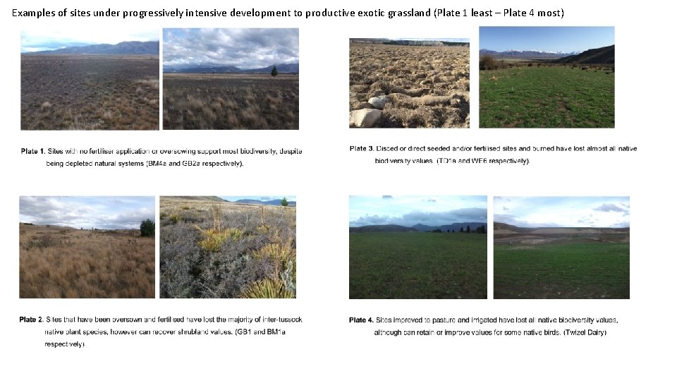 Examples of sites under progressively intensive development to productive exotic grassland (Plate 1 least