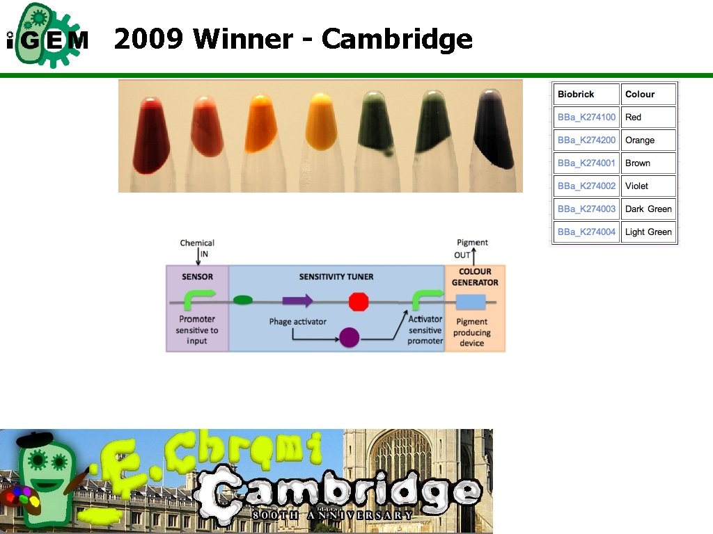 2009 Winner - Cambridge 