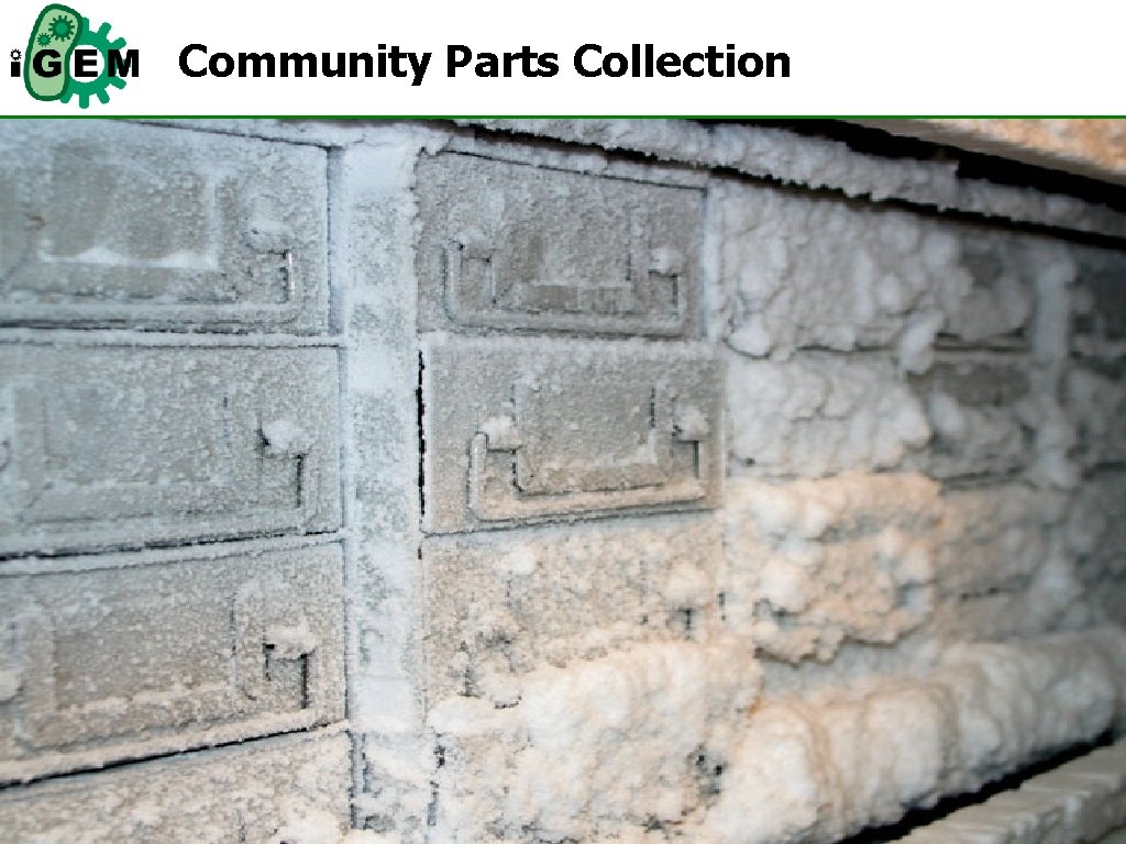 Community Parts Collection 