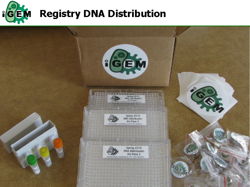 Registry DNA Distribution 