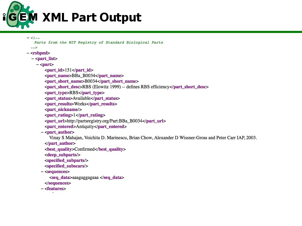 XML Part Output 