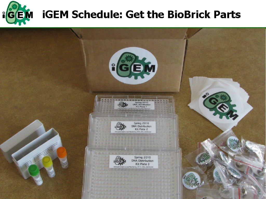 i. GEM Schedule: Get the Bio. Brick Parts 