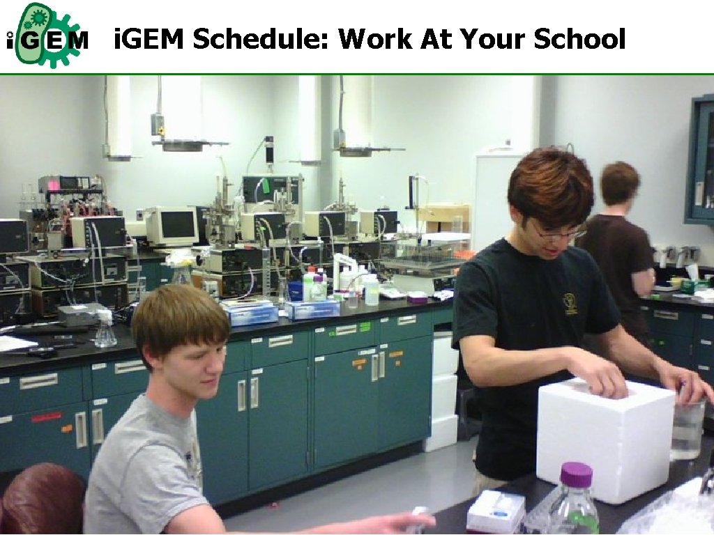i. GEM Schedule: Work At Your School 