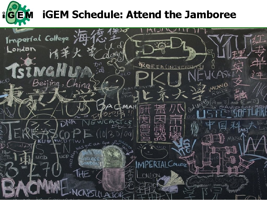 i. GEM Schedule: Attend the Jamboree 