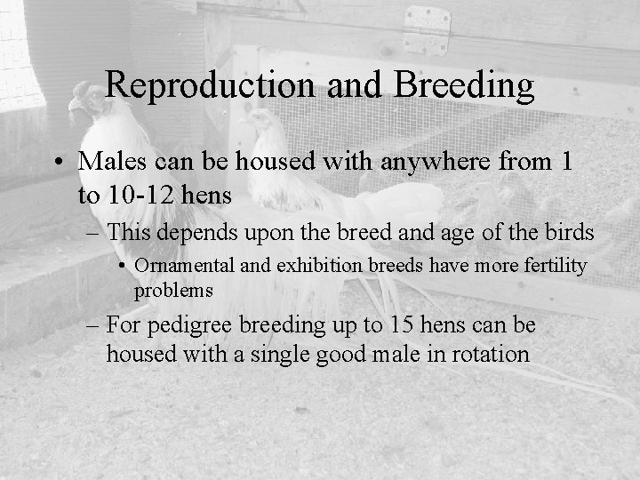 Reproduction and Breeding • Males can be housed with anywhere from 1 to 10