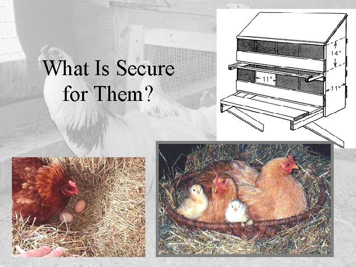 What Is Secure for Them? 