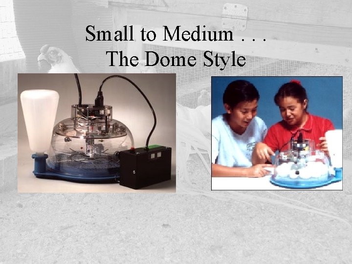 Small to Medium. . . The Dome Style 