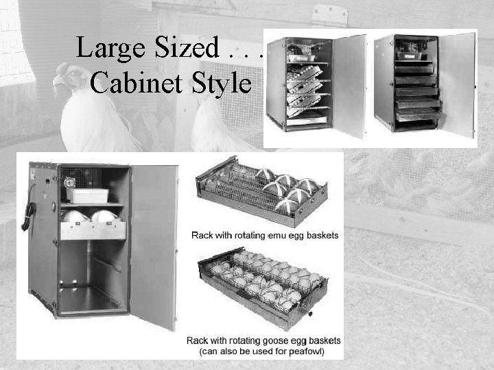 Large Sized. . . Cabinet Style 