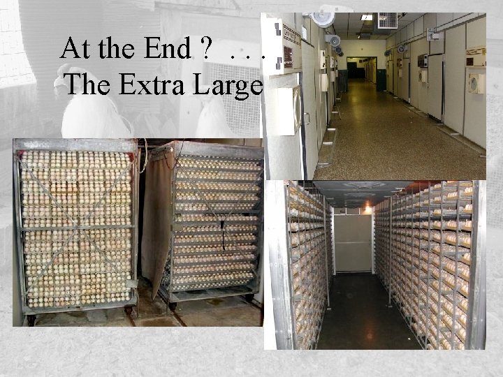 At the End ? . . . The Extra Large 