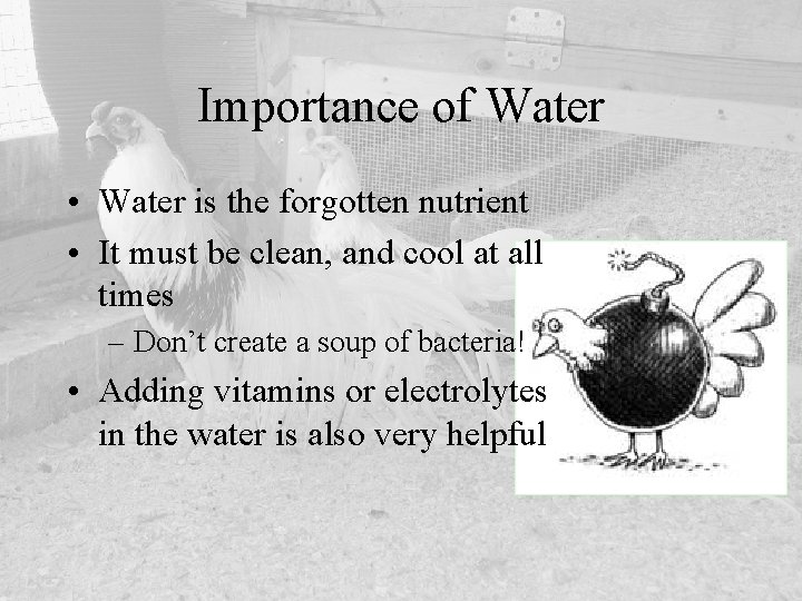 Importance of Water • Water is the forgotten nutrient • It must be clean,