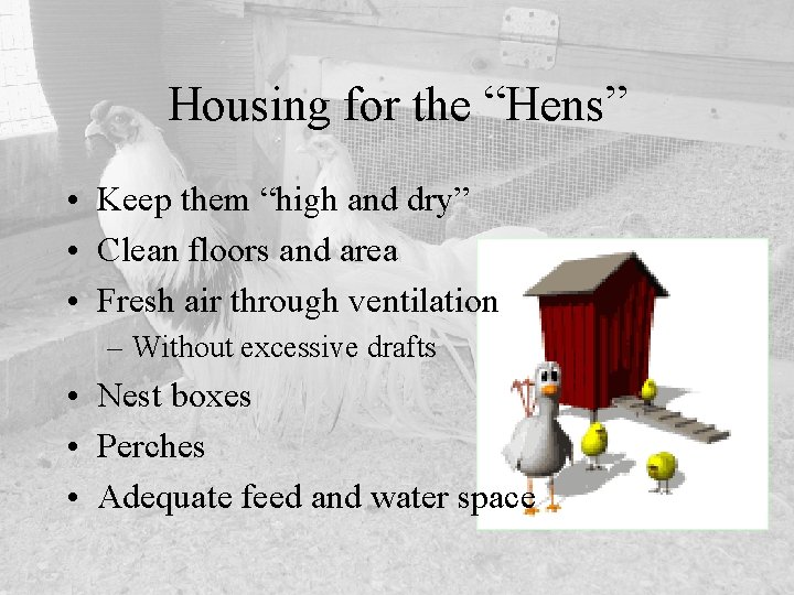 Housing for the “Hens” • Keep them “high and dry” • Clean floors and