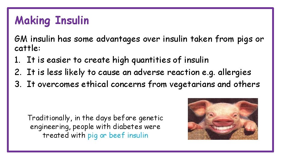 Making Insulin GM insulin has some advantages over insulin taken from pigs or cattle: