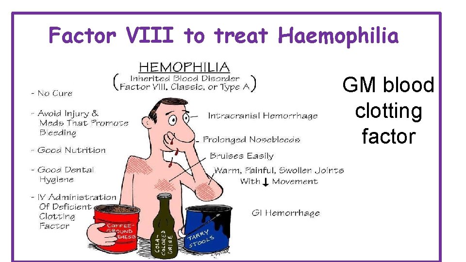 Factor VIII to treat Haemophilia GM blood clotting factor 