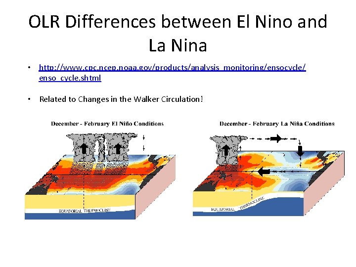 OLR Differences between El Nino and La Nina • http: //www. cpc. ncep. noaa.