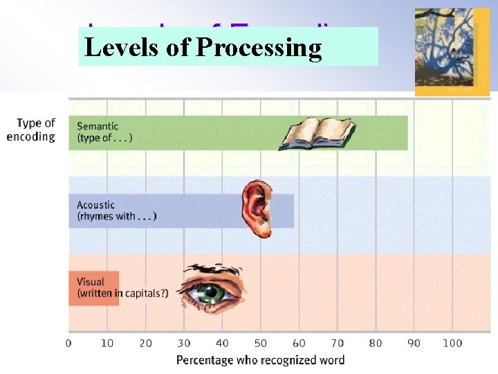 Levels of Encoding Levels of Processing Copyright © Allyn & Bacon 2007 
