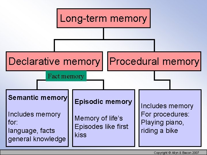 Long-term memory Declarative memory Procedural memory Fact memory Semantic memory Includes memory for: language,