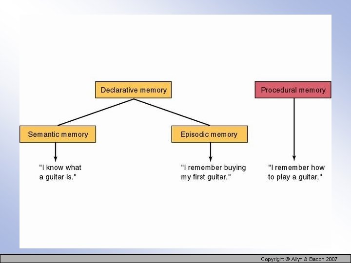 Copyright © Allyn & Bacon 2007 