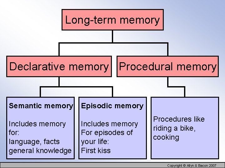 Long-term memory Declarative memory Procedural memory Semantic memory Includes memory for: language, facts general