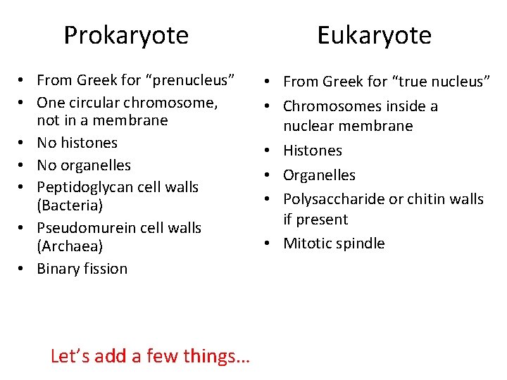 Prokaryote Eukaryote • From Greek for “prenucleus” • One circular chromosome, not in a