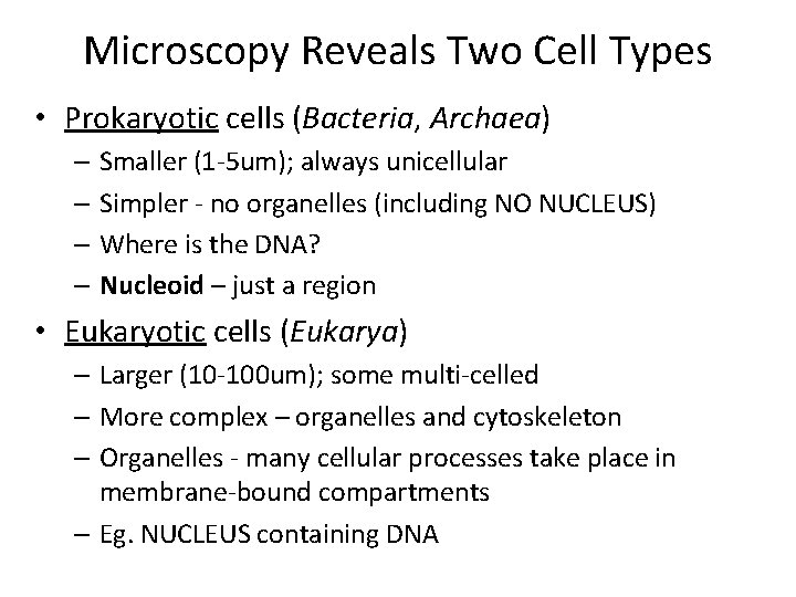 Microscopy Reveals Two Cell Types • Prokaryotic cells (Bacteria, Archaea) – Smaller (1 -5