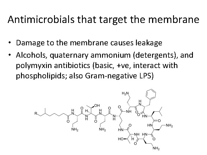 Antimicrobials that target the membrane • Damage to the membrane causes leakage • Alcohols,