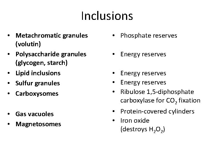 Inclusions • Metachromatic granules (volutin) • Polysaccharide granules (glycogen, starch) • Lipid inclusions •