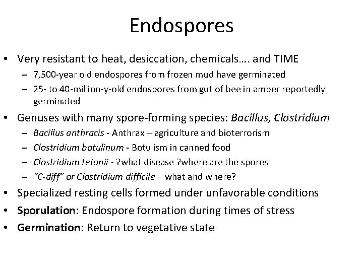 Endospores • Very resistant to heat, desiccation, chemicals…. and TIME – 7, 500 -year