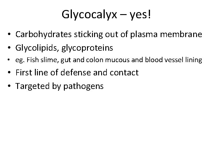 Glycocalyx – yes! • Carbohydrates sticking out of plasma membrane • Glycolipids, glycoproteins •